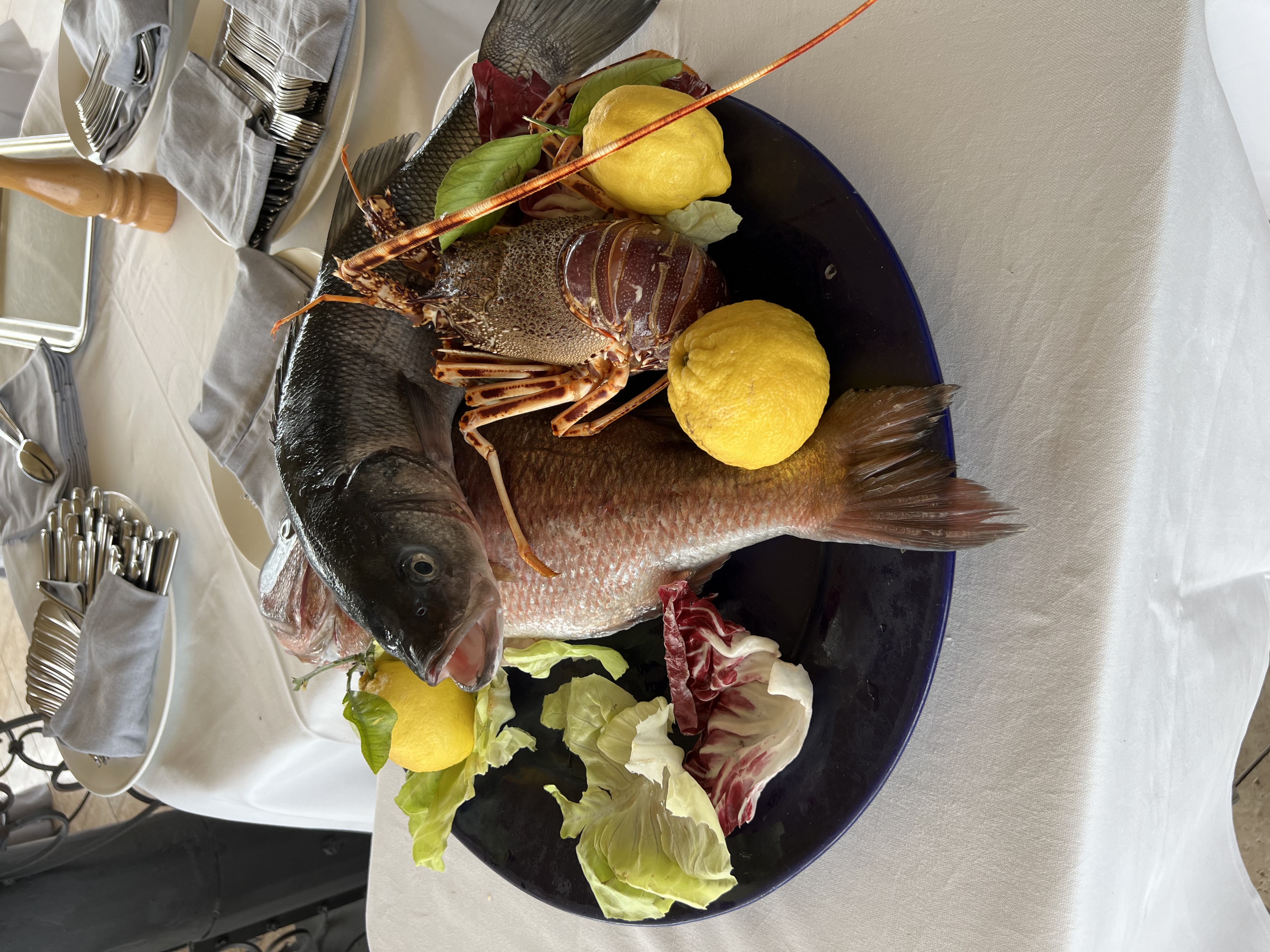 Campania winery visit, Di Vine and Dine Experiences