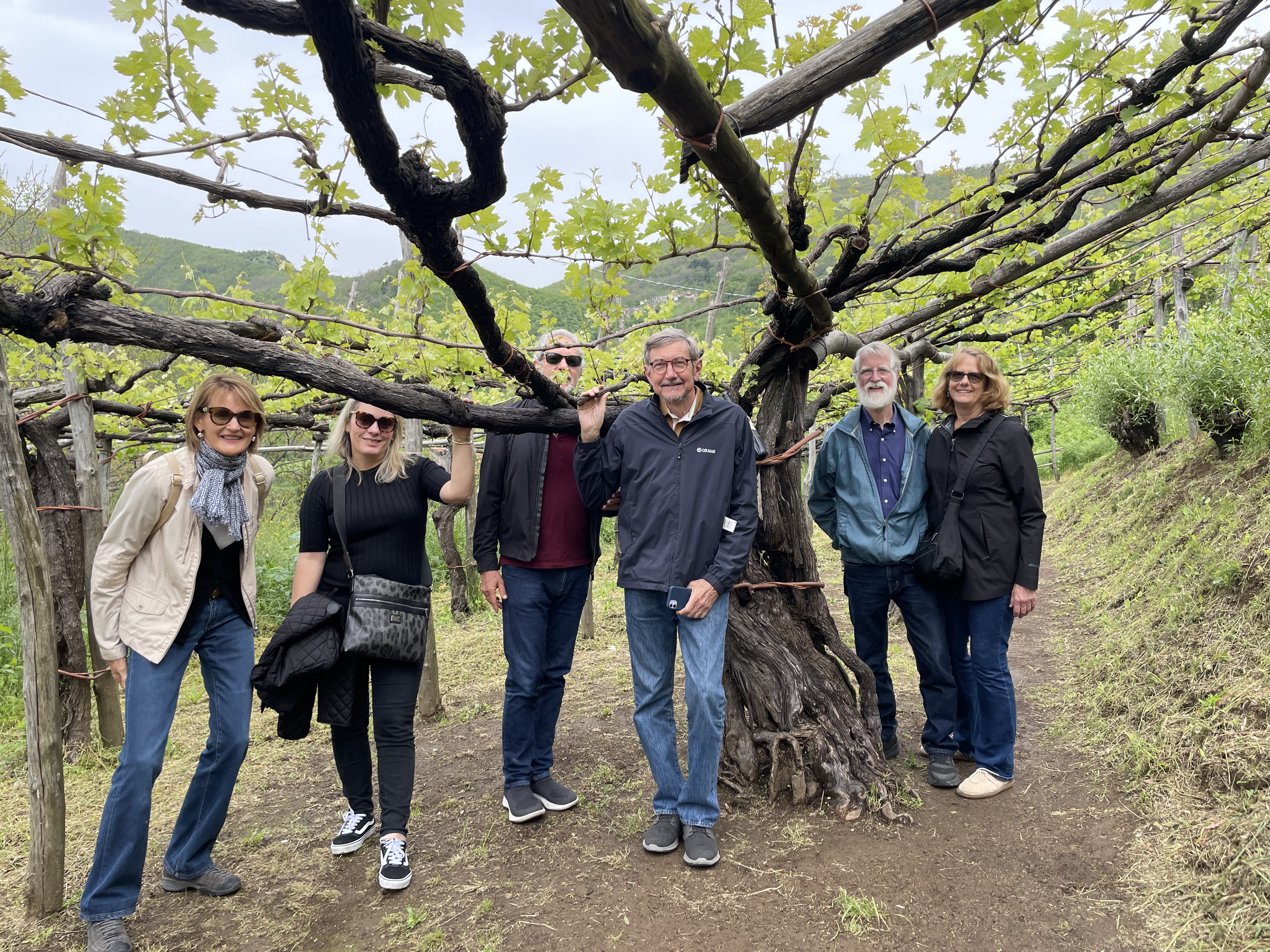 Di Vine and Dine group tour in Campania vineyard, Southern Italy