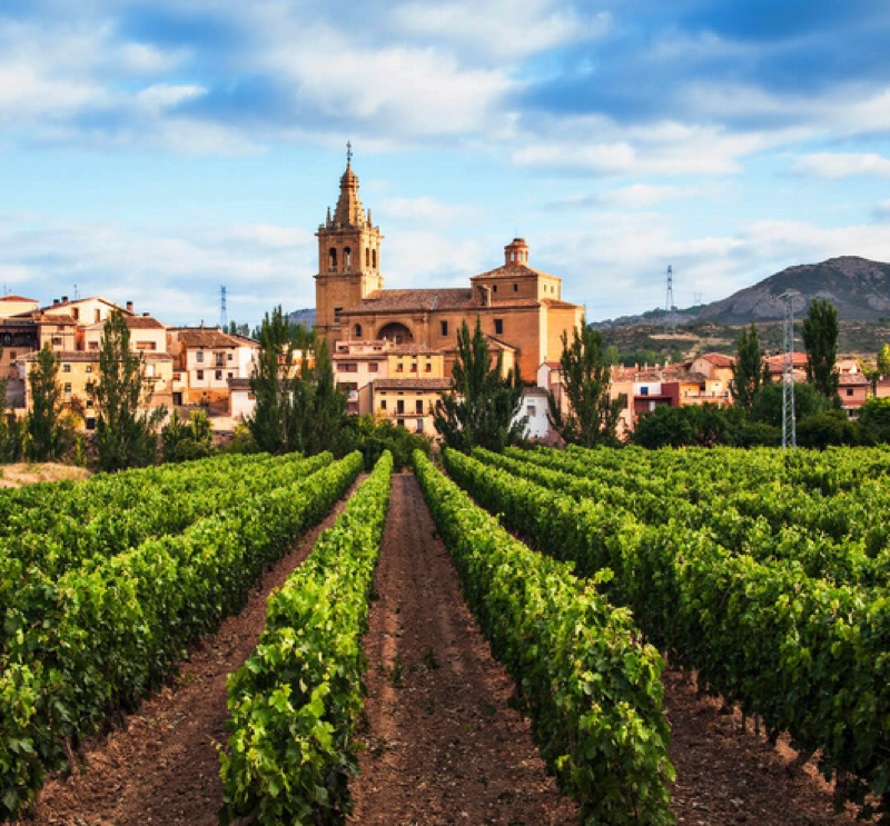 Great Wines of Spain – Rioja vineyards