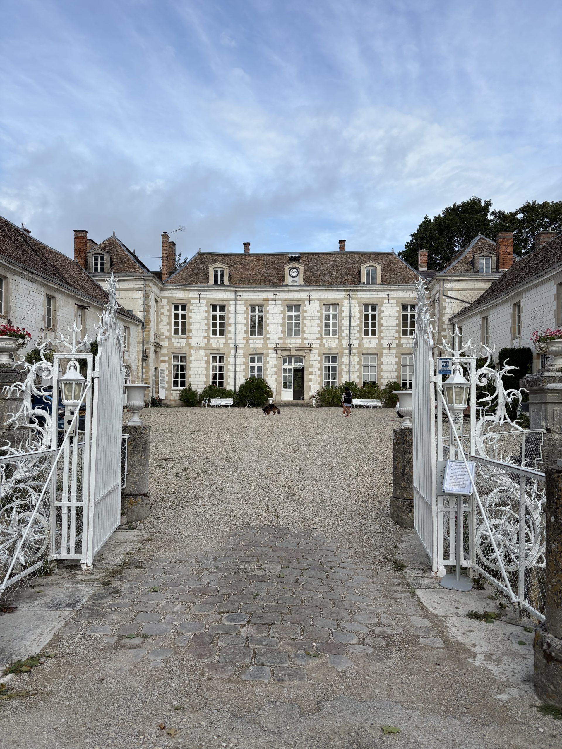 Champagne tasting experience France