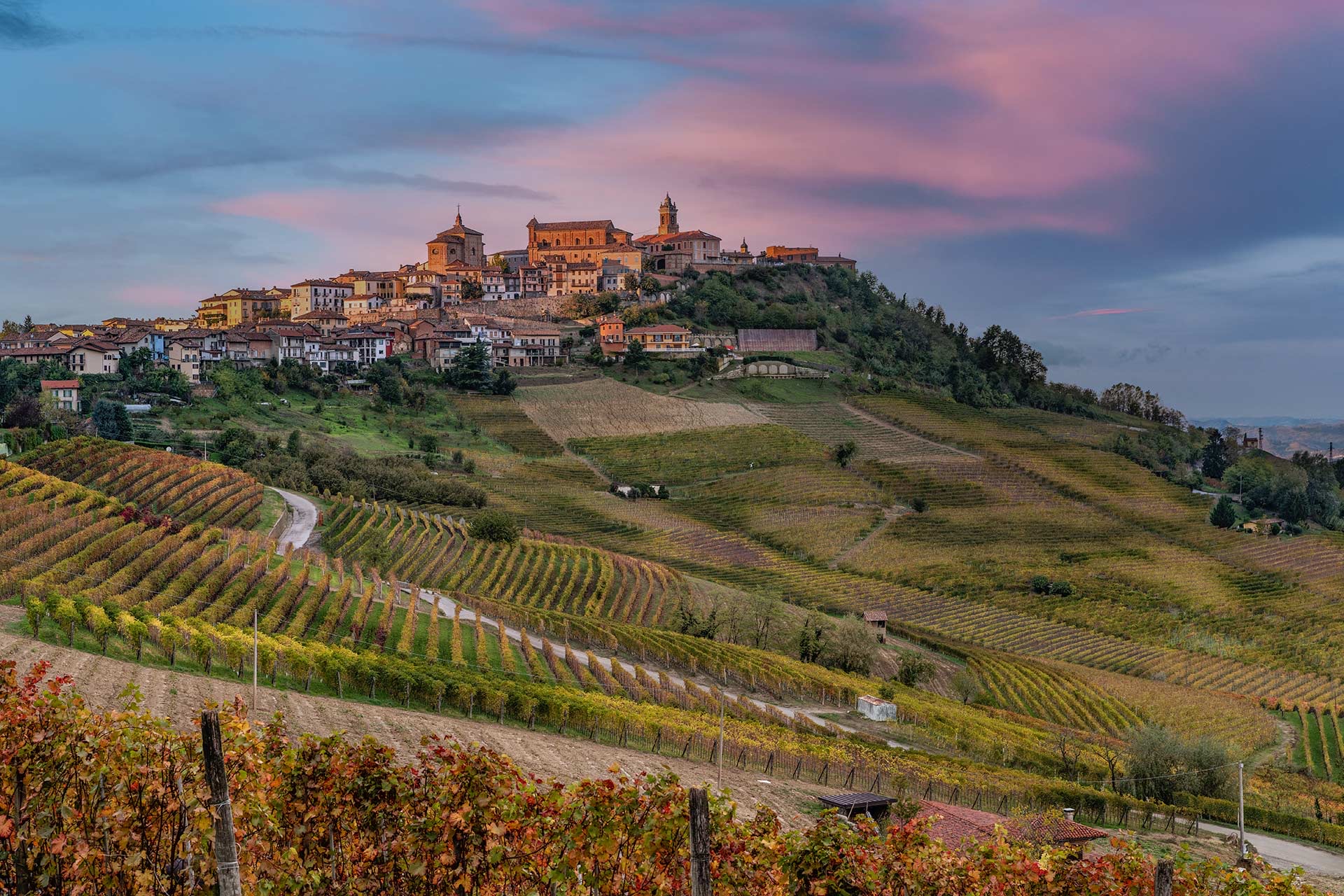 Wine tasting in the Italian countryside