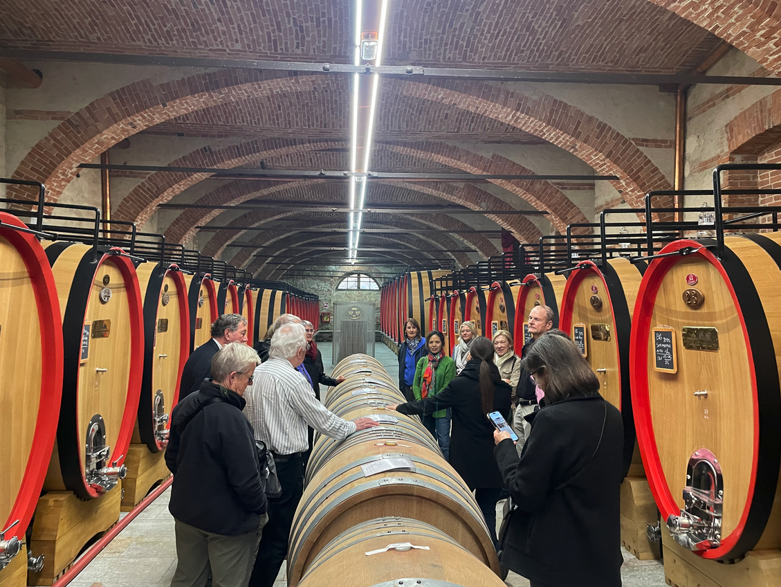 Northern Italy wine tour experience