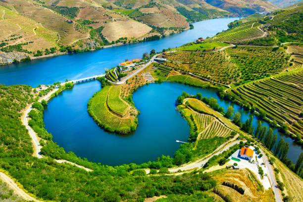 Grape harvest – Tempranillo grapes, Rioja wine tour