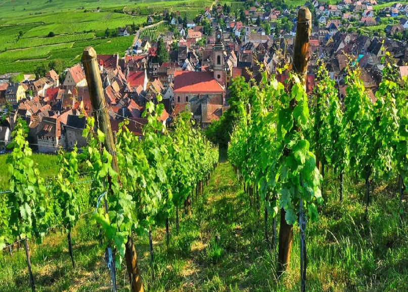 Champagne méthode champenoise production