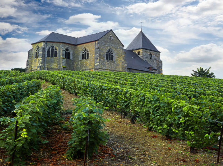 Champagne second fermentation process