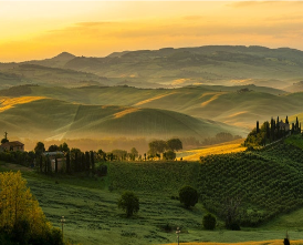 Tuscany wine region landscape