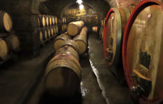 Tuscany wine tasting experience