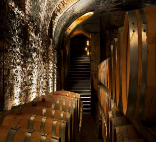 Barolo vineyard Piemonte