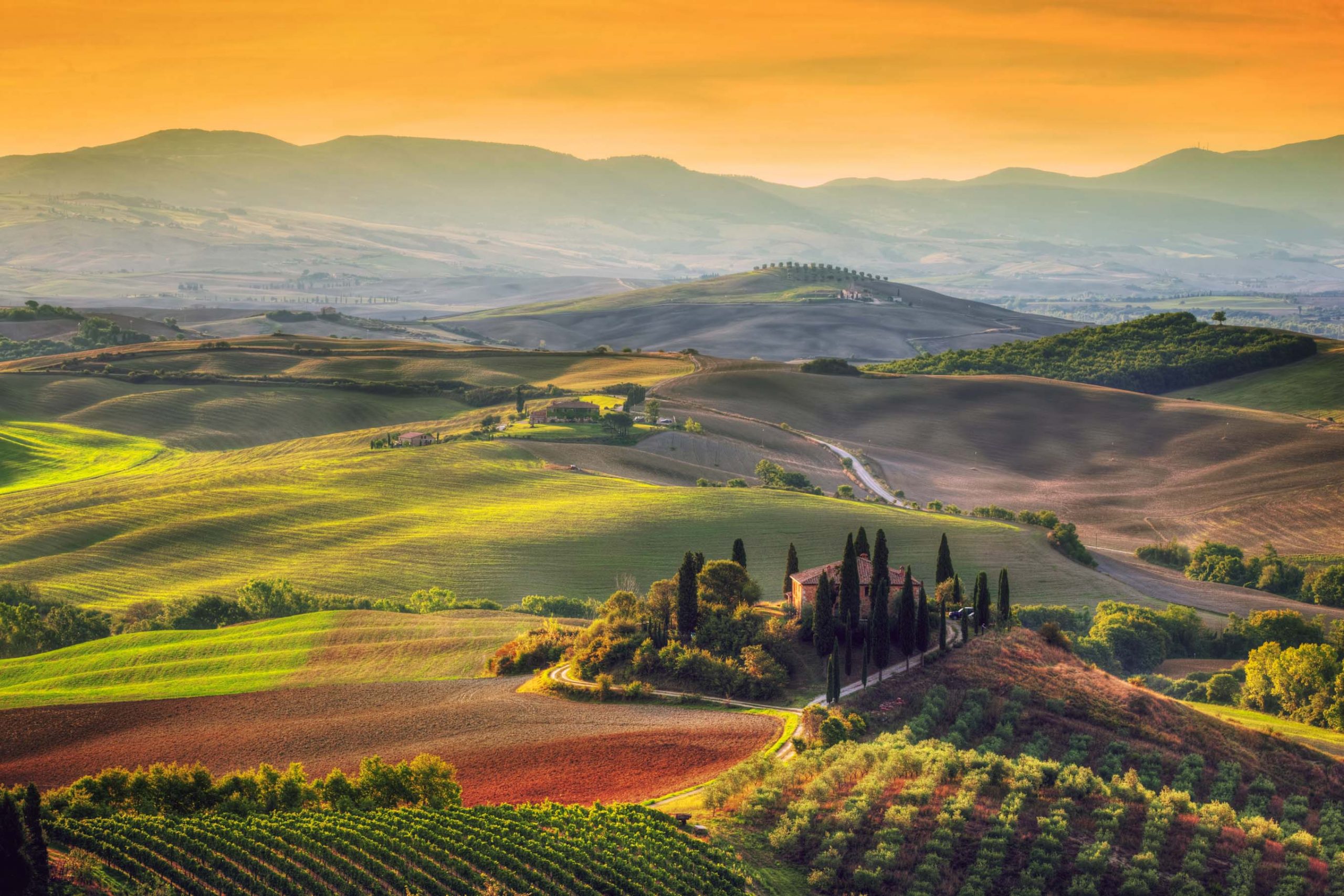Chianti Classico wine tasting