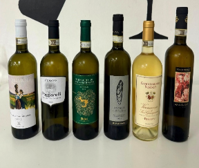 Vernaccia di San Gimignano vineyards